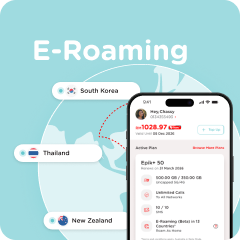 E-Roaming