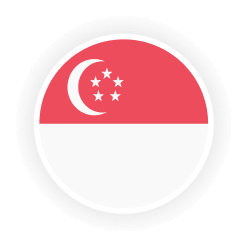 Singapore flag