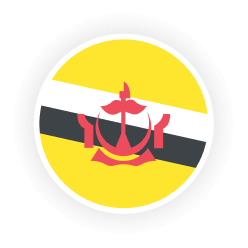 Brunei flag